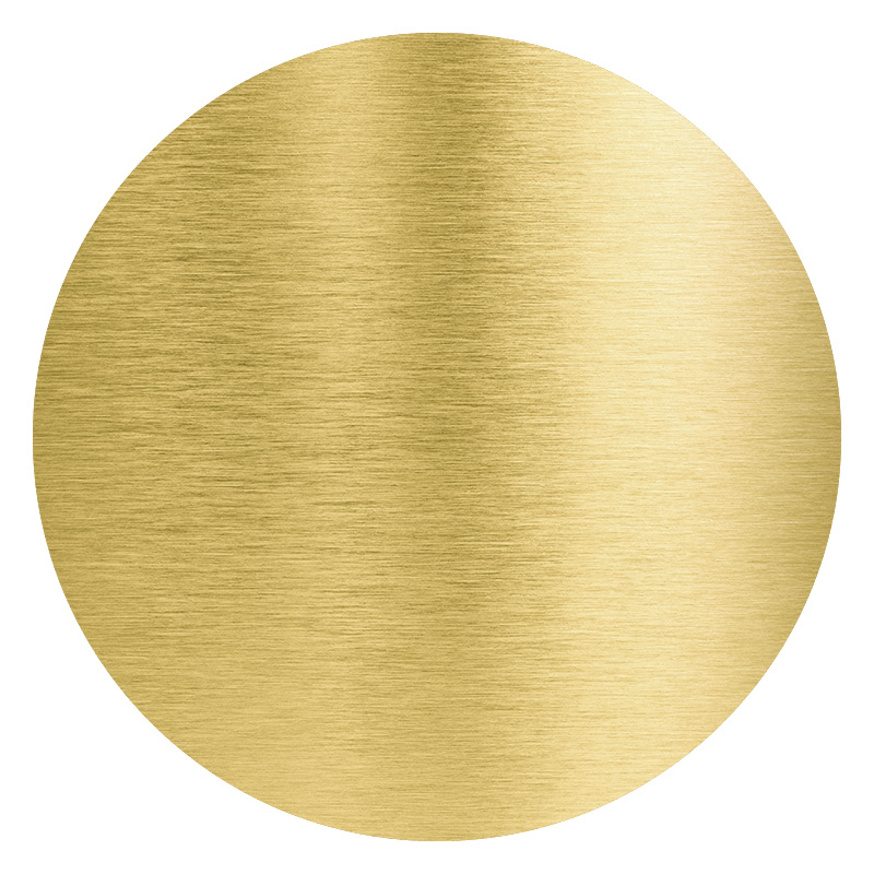 brush gold alum 2 disk