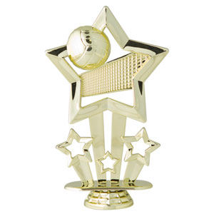 volleyball star fig multi