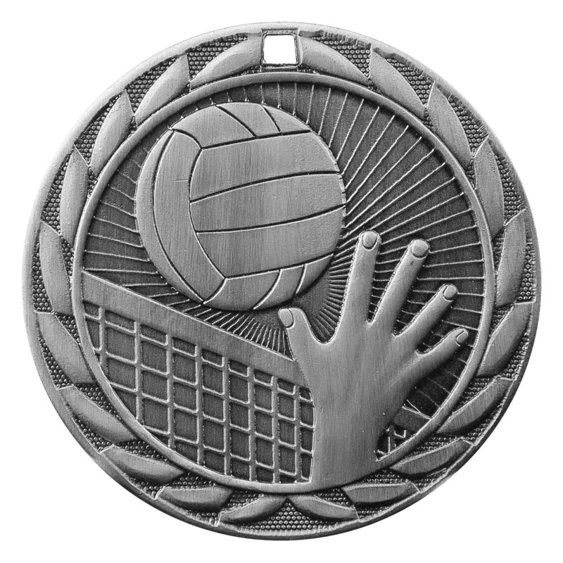 volleyball  iron  silver
