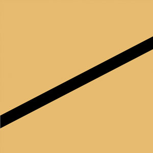 stralend goud zwart flex plasti