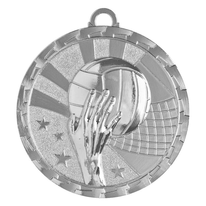 volleyball brite silver