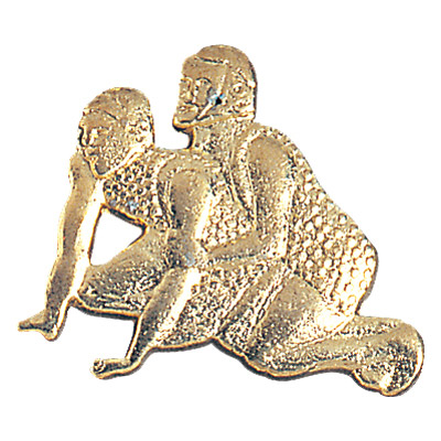 worstelen chenille pin