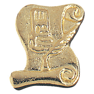 journalistiek chenille speld