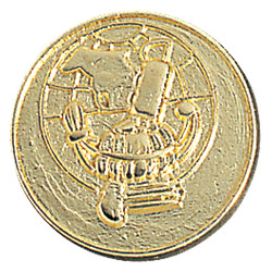 scholastic chenille speld