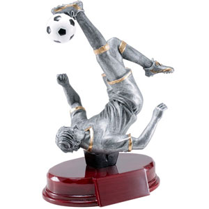 grote harsvijg soc m