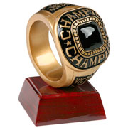 champion ring resin