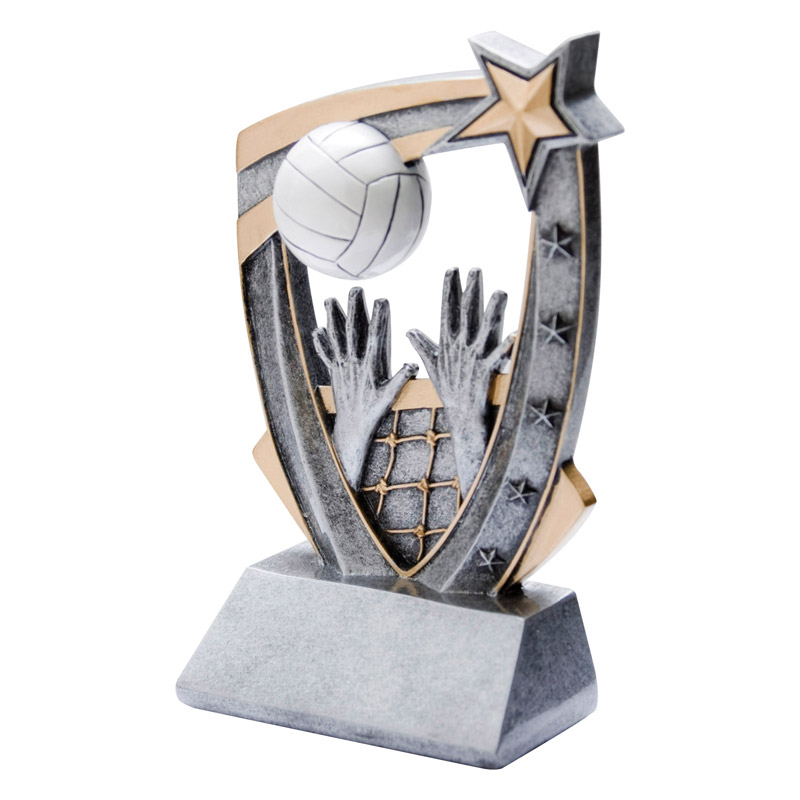 star 3d resins volleyball