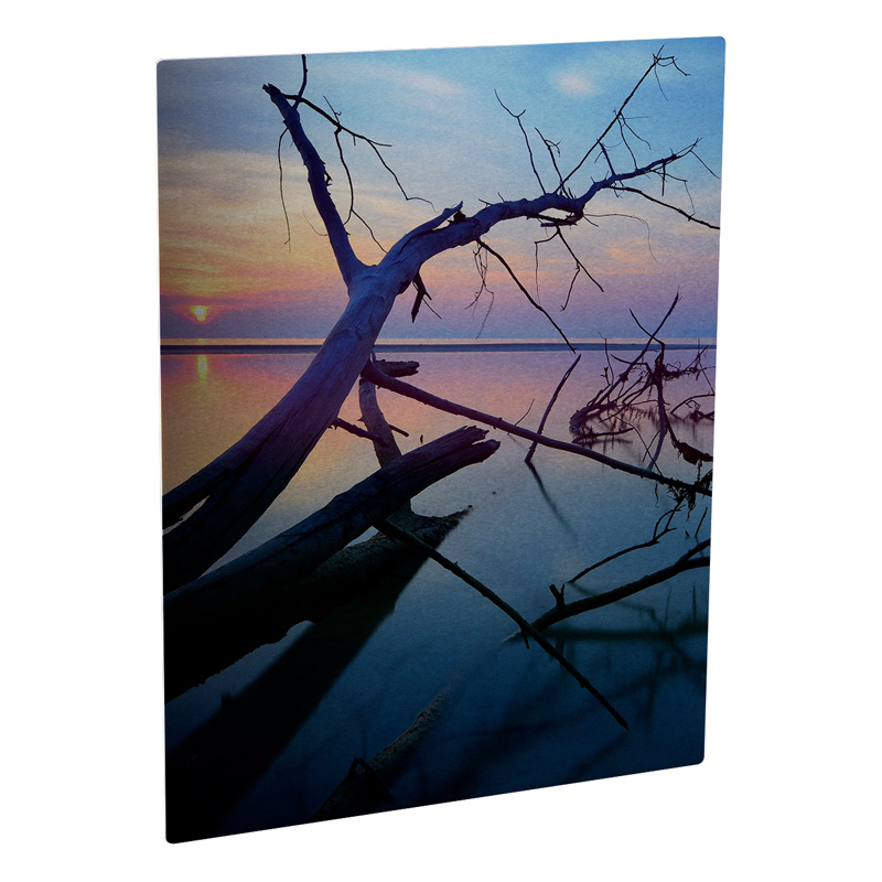 chromlx 11x14 clr photo panel
