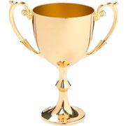 metalen beker goud 11