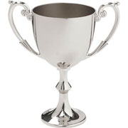 metal cup silver 11