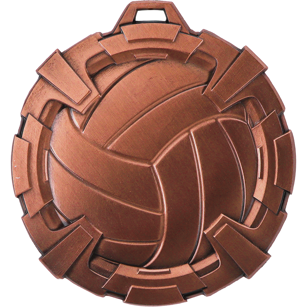 CARBONITE VOLLEYBAL BRONS